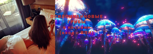 apvp Ельня