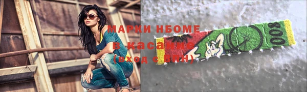 apvp Ельня