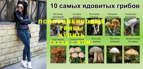МДПВ Елизово