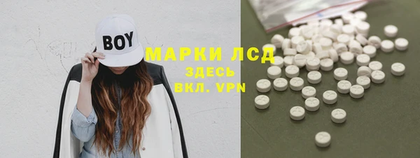 apvp Ельня