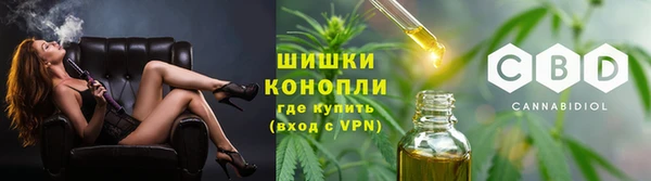 apvp Ельня