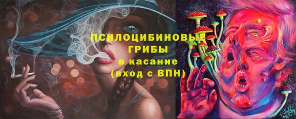 бутират Елабуга