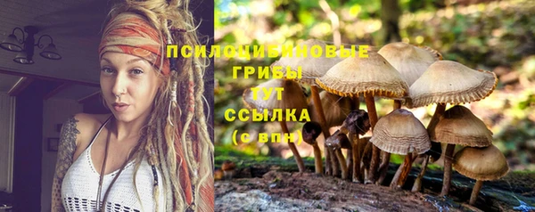 МДПВ Елизово