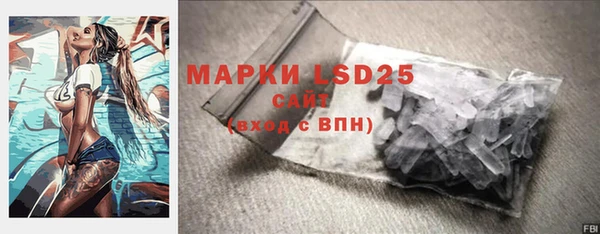 apvp Ельня