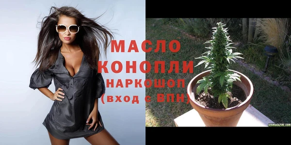 apvp Ельня