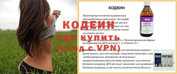 МДПВ Елизово